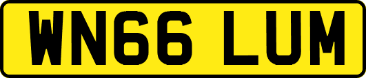 WN66LUM