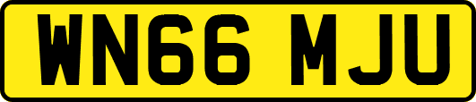 WN66MJU