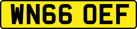 WN66OEF