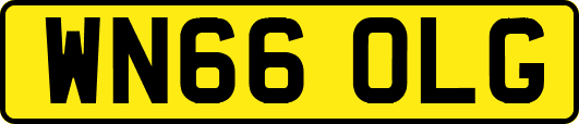 WN66OLG