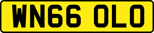 WN66OLO