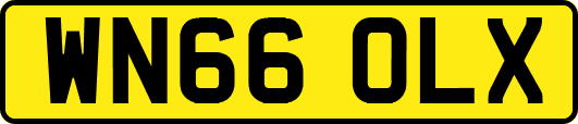 WN66OLX