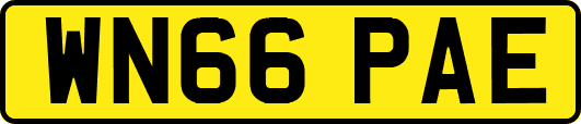 WN66PAE