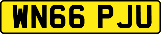 WN66PJU
