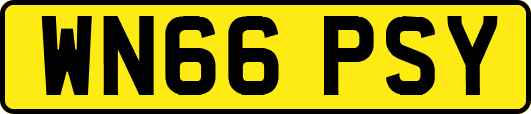 WN66PSY