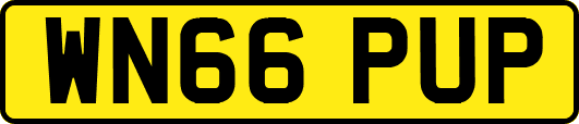 WN66PUP