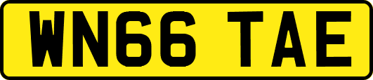 WN66TAE