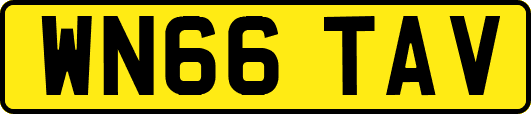 WN66TAV