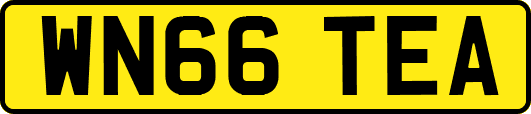 WN66TEA