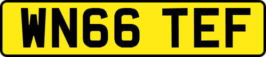 WN66TEF