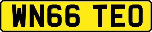 WN66TEO