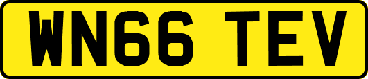 WN66TEV
