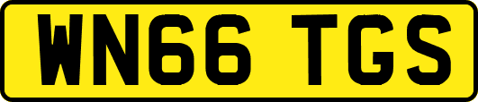 WN66TGS