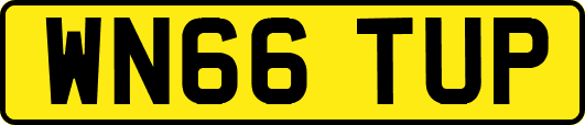 WN66TUP