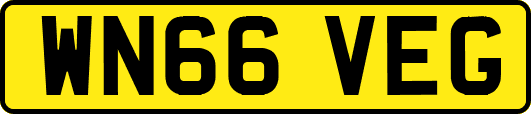 WN66VEG