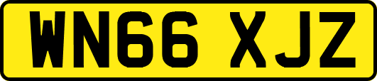 WN66XJZ