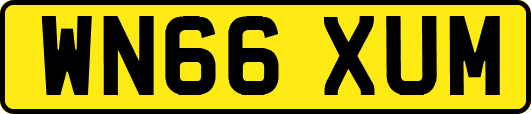 WN66XUM