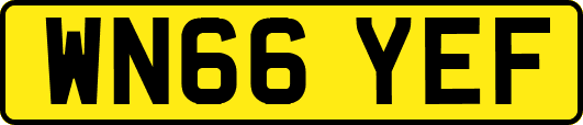 WN66YEF