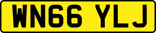 WN66YLJ