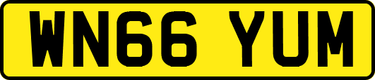 WN66YUM