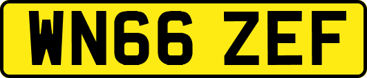 WN66ZEF