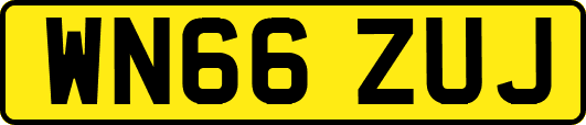 WN66ZUJ