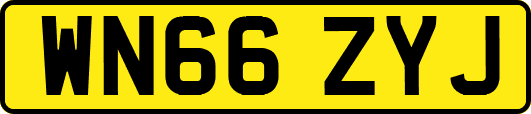WN66ZYJ