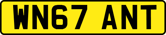 WN67ANT