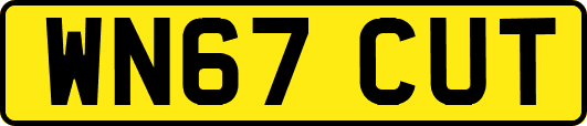 WN67CUT