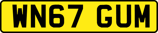 WN67GUM