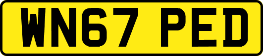 WN67PED