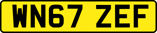 WN67ZEF