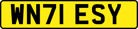 WN71ESY