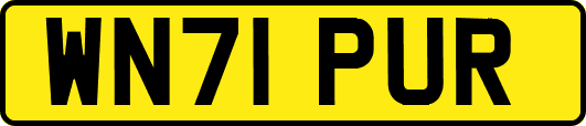 WN71PUR