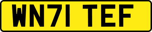 WN71TEF