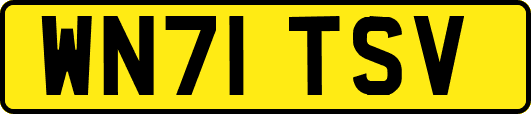 WN71TSV