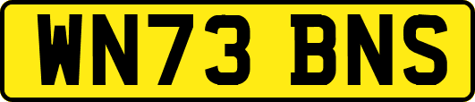 WN73BNS