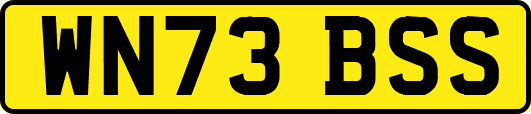 WN73BSS