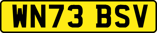 WN73BSV