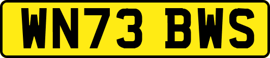 WN73BWS