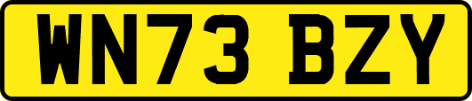 WN73BZY