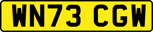 WN73CGW
