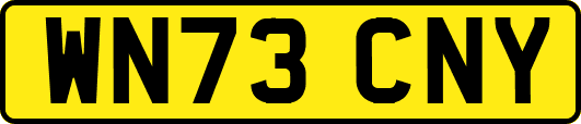 WN73CNY