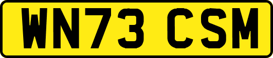 WN73CSM