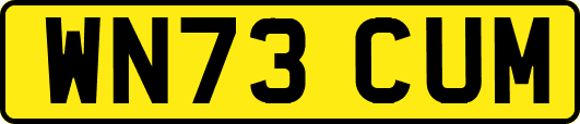 WN73CUM