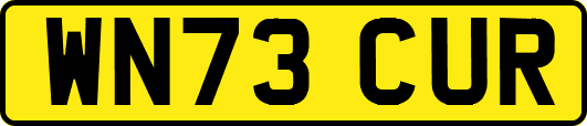 WN73CUR