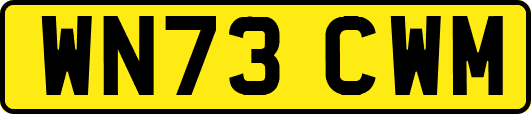 WN73CWM
