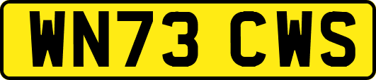 WN73CWS