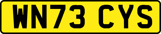 WN73CYS