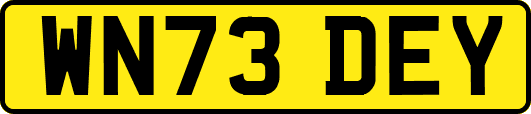 WN73DEY
